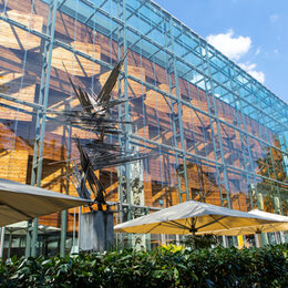 Das LVR-Landesmuseum Bonn verfügt über eine gläserne Fassade