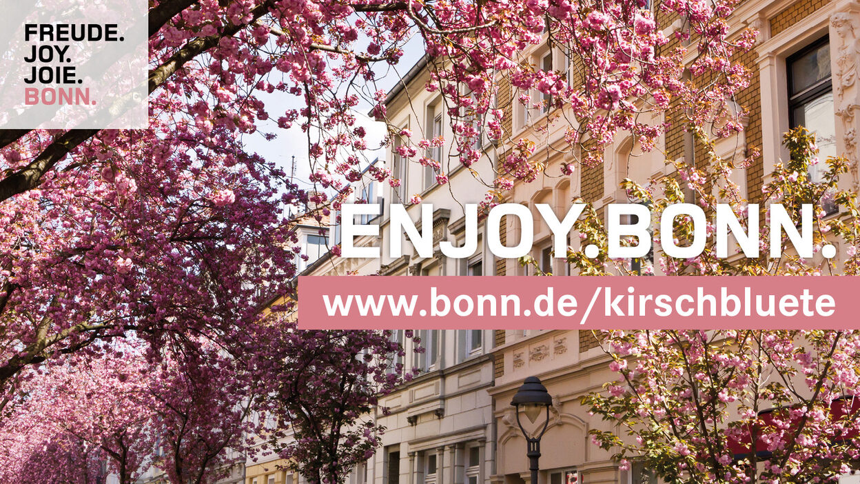 Plakatmotiv der Stadt Bonn zur Kirschblüte.