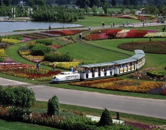 Zur Bundesgartenschau 1979 wurde der Freizeitpark Rheinaue fertig gestellt. Während der 178 Tage dauernden Bundesgartenschau fuhr auch eine Miniaturbahn durchs Gelände.