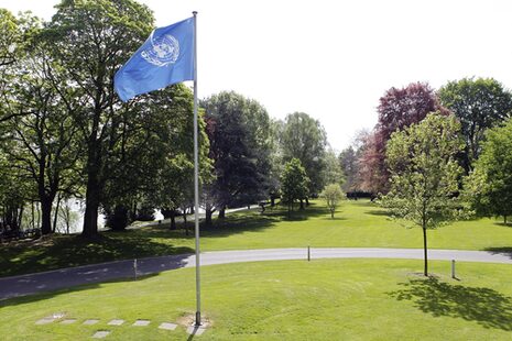 Die blaue Fahne der Vereinten Nationen im Park von Haus Carstanjen