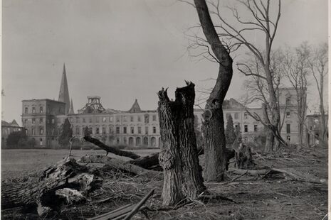 Zu sehen ist ein Schwarz-Weiß-Foto. Im Vordergrund sind abgebrochene Bäume. Im Hintergrund ist ein längliches Gebäude mit fehlendem Dach: Das Hauptgebäude der Universität Bonn.