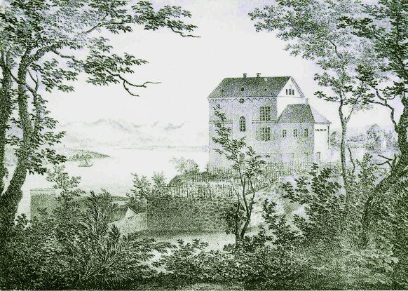 Das Schwarz-Weiß-Bild zeigt im Vordergrund Bäume und Büsche. Durch sie hindurch ist der Blick auf ein Haus freigegeben. Es handelt sich um die Villa Brandis.