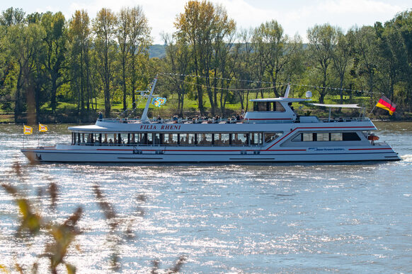 Ausflugsschiff auf dem Rhein bei Oberkassel / Bonner Bogen