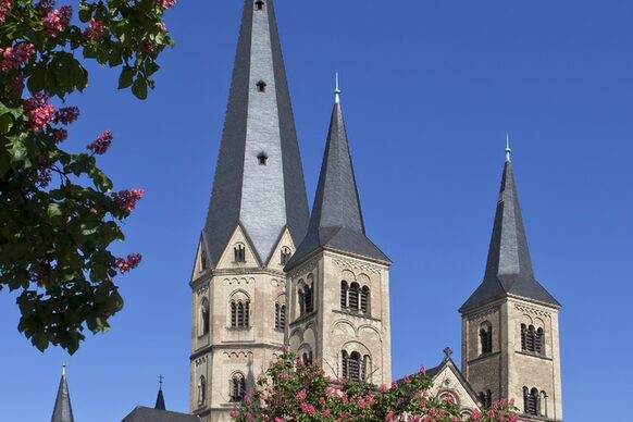 Außenaufnahme des Bonner Münsters mit blühenden Kastanienbäumen im Vordergrund