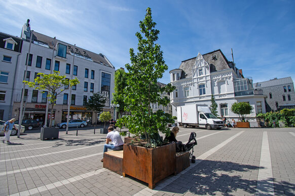 Eine Grüne Insel als kombinierte Sitz- und Pflanzgelegenheit auf dem Platz vor dem Rathaus Beuel