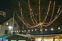 Weihnachtlich geschmückte Bäume und Buden beim Duisdorfer Adventsmarkt