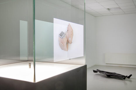 Louisa Clement, Ausstellungsansicht Inside, 2023, Dresdner Kunstverein, Foto: Sergey Poteryaev