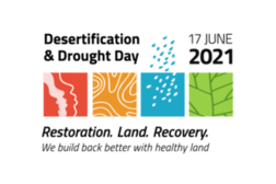 Logo desertification and drought day 2021