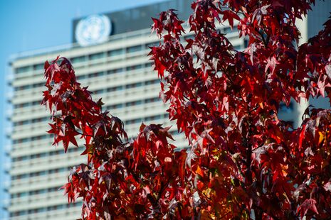 Herbstlich rot verfärbtes Laub vor dem Langen Eugen mit dem Emblem der Vereinten Nationen