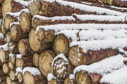 Mit Schnee bedeckte geschlagene Holzstämme in einem Sägewerk oder im Wald
