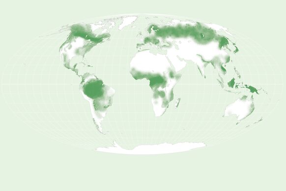Zeichnung einer Weltkarte mit der Verteilung großer Waldflächen