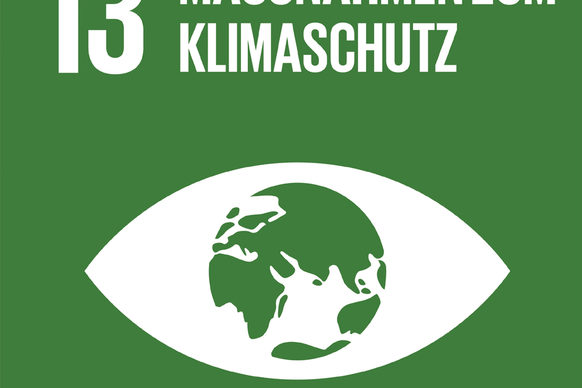 Illustration zum Sustainable Development Goal 13