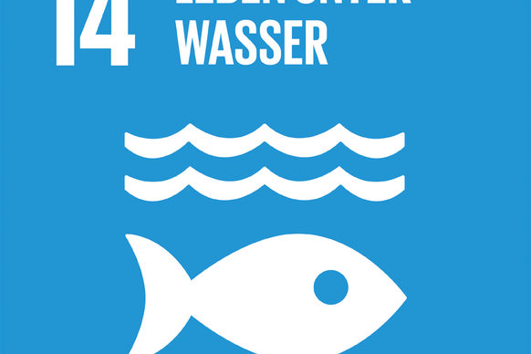 Illustration zum Sustainable Development Goal 14
