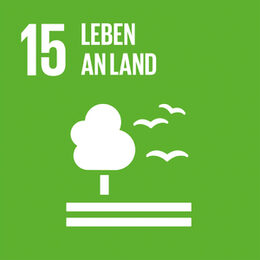 Illustration zum SDG 15