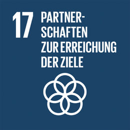 Illustration zum SDG 17