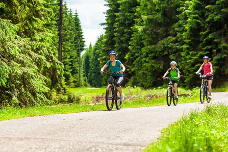 Drei Personen sind mit Mountainbikes im Wald unterwegs