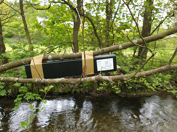Tierbeobachtungskamera im Wald an einem Bachlauf