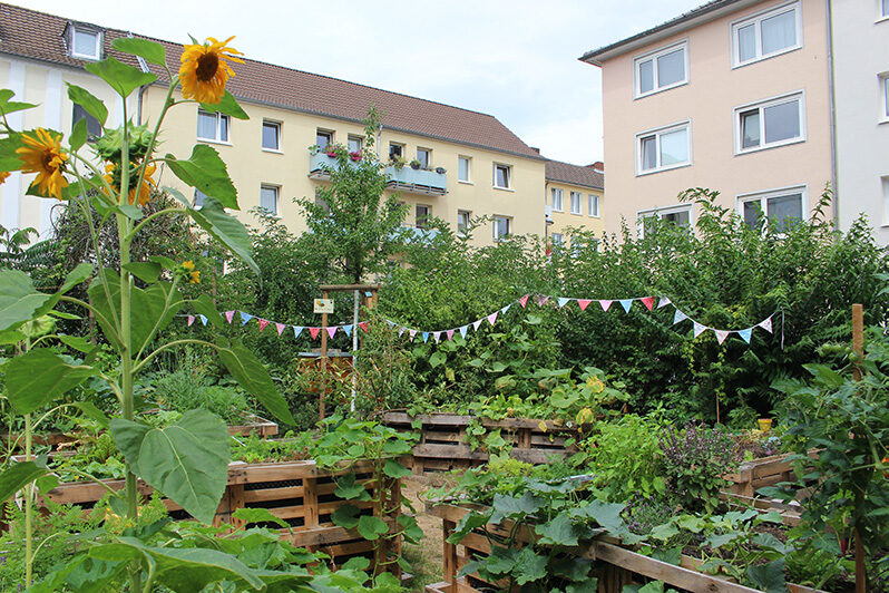 Garten mit Hochbeeten und Sonnenblumen zwischen Mehrfamilienhäusern