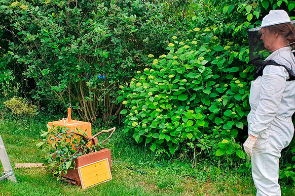 Imkerin mit Bienenstock in einem Garten