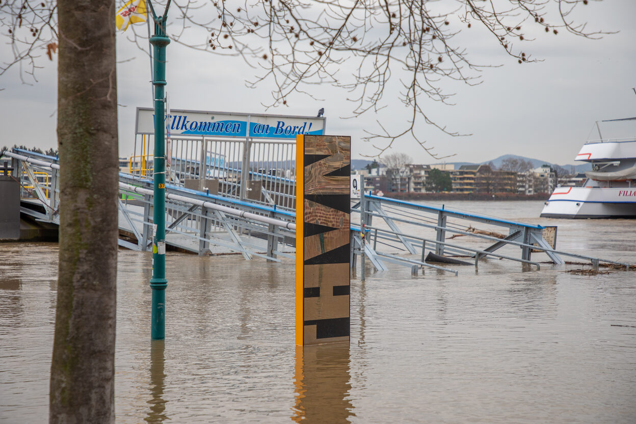Hochwasser am Rhein.