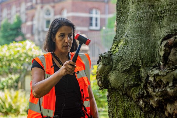 Baumkontrolleurin Donia Al Shomer vom Amt für Umwelt und Stadtgrün prüft einen Baum
