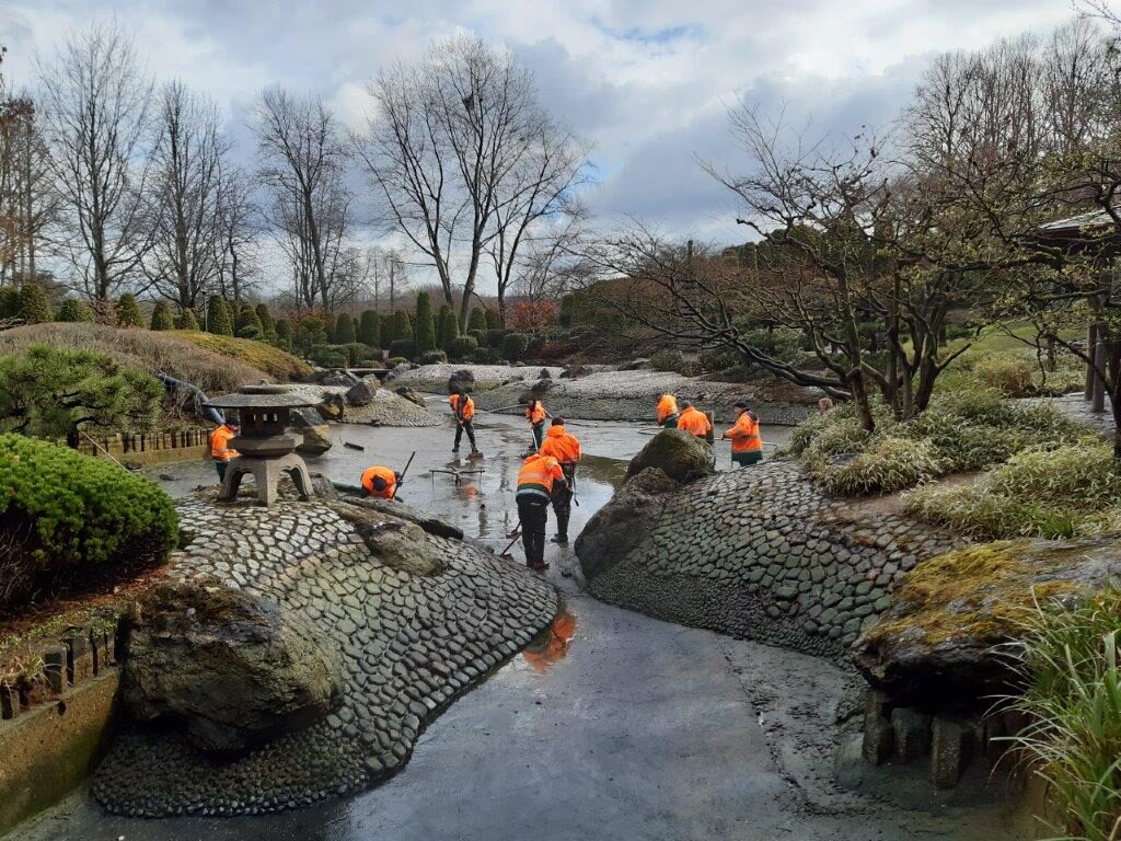 Mitarbeitende des Amtes für Umwelt und Stadtgrün säubern den Teich im Japanischen Garten