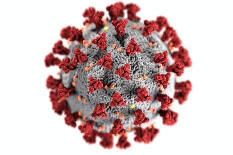 Modell des Coronavirus