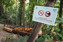 Das Bild zeigt ein Schild vor einer Wegesperrung aus Baumstämmen im Wald.