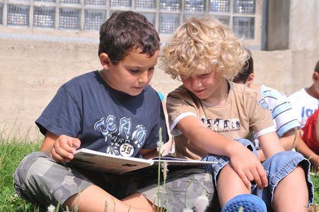 Zwei Jungen sitzen auf einer Wiese und lesen gemeinsam in einem Buch