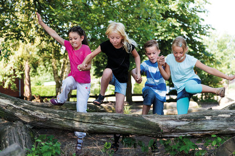 Kinder springen über einen Baumstamm