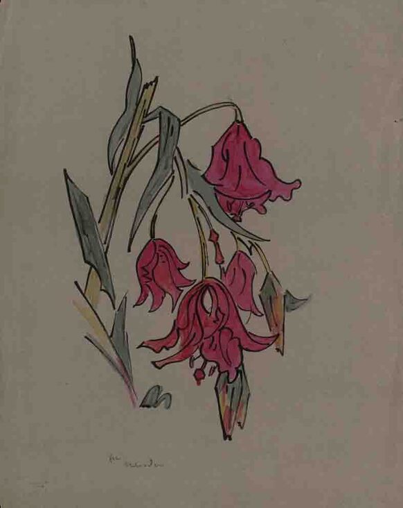 Eine aquarellierte Tuschezeichnung (50x40 cm) von Em Oelieden mit dem Titel „Blumenzweig“