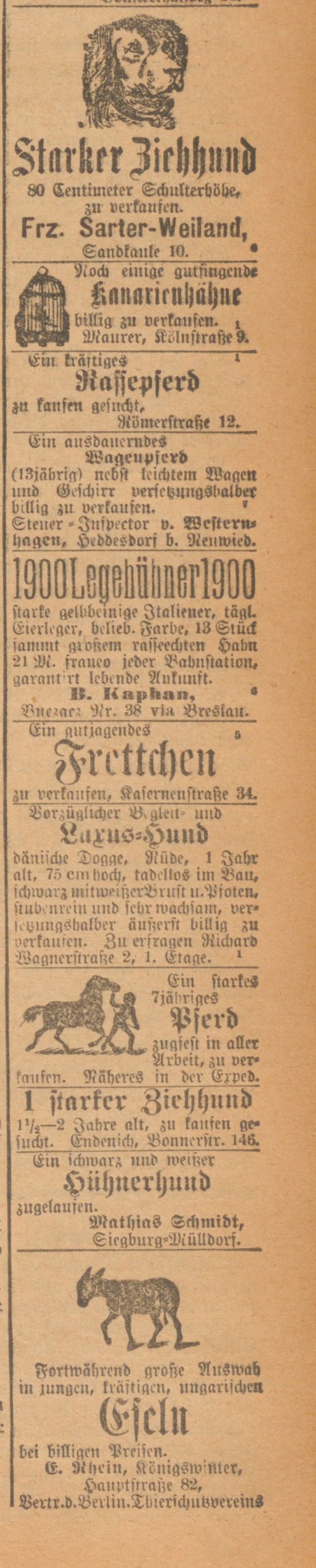 Anzeige im General-Anzeiger, Bonn, 9. Februar 1901