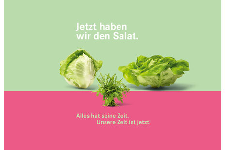 Das Plakat mit dem Schriftzug Jetzt haben wir den Salat zeigt Eisbergsalat, Rucola und Kopfsalat