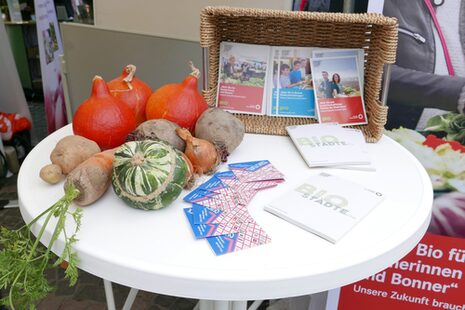 Tisch mit Kürbissen, unterschiedlichem Gemüse sowie Flyern anlässlicher einer Veranstaltung