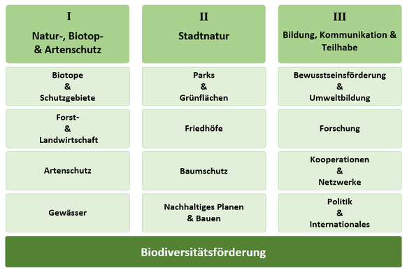 Grafik des Aufbaus der Biodiversitätsstrategie