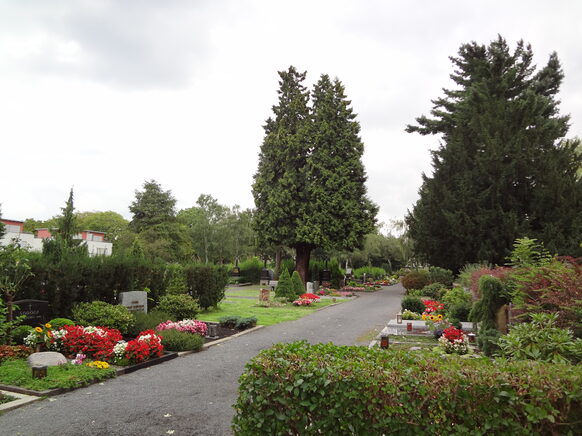 Friedhof Friesdorf