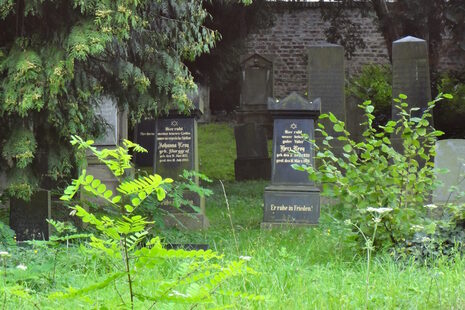 Jüdischer Friedhof Mehlem