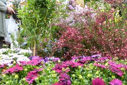 Ob großer Garten oder eher ein übersichtlicher Balkon: Das reichhaltige Angebot beim jährlichen Frühlingsmarkt hält für alle Pflanzenfreunde etwas bereit.
