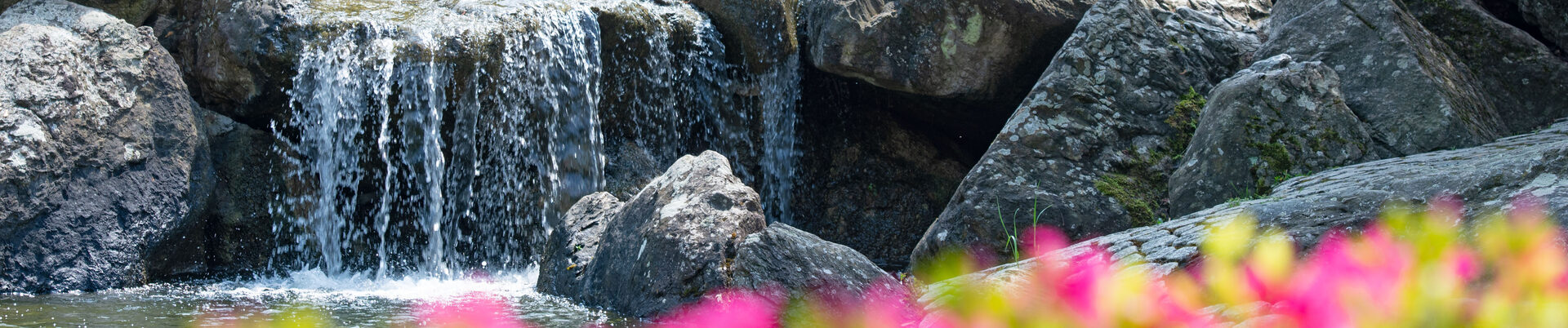 Der Wasserfall im Japanischen Garten in der Rheinaue