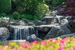Der Wasserfall im Japanischen Garten in der Rheinaue