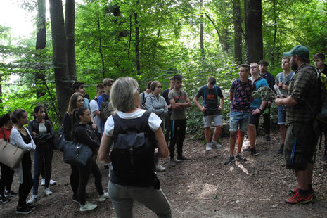 Schülergruppe mit Lehrern im Wald
