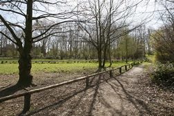 Naturschutzgebiet Düne Tannenbusch