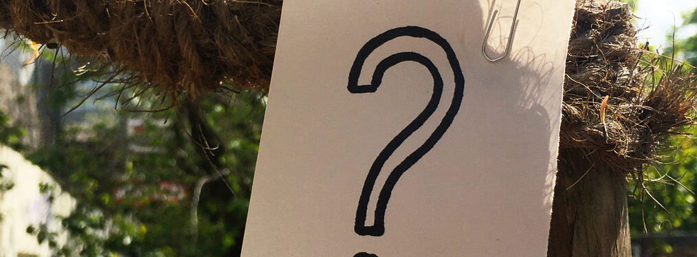 Fragezeichen auf einem  Blatt Papier, das mit einer Büroklammer an einem Baumstamm befestigt ist.
