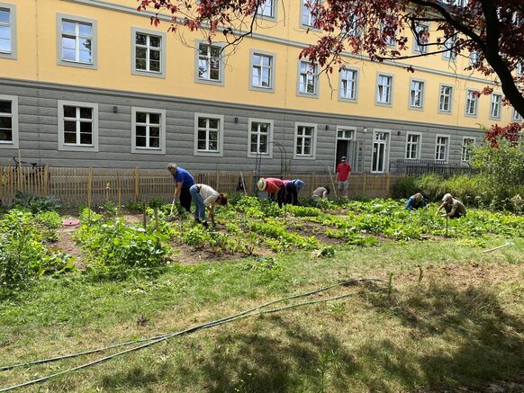 Mehrere Personen arbeiten im Garten am Haus der Bildung