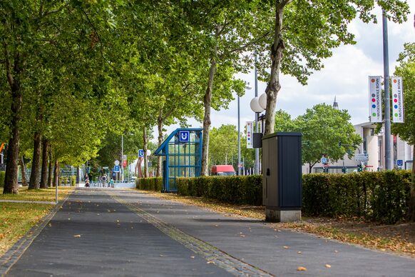 Radweg auf der Museumsmeile Bonn