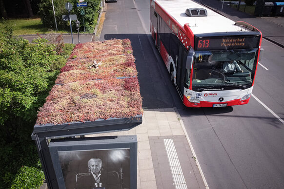 Ein Bus hält an einer Haltestelle, auf deren Dach Pflanzen wachsen, um die biologische Vielfalt in der Stadt zu erhalten.