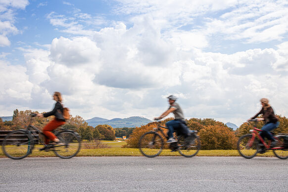 Zwei Frauen und ein Mann fahren mit dem Fahrrad am Rhein entlang.
