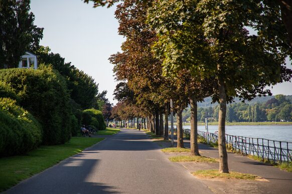 Geh- und Radweg am Rheinufer
