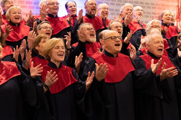 Bild vom Chor Wave of Joy
